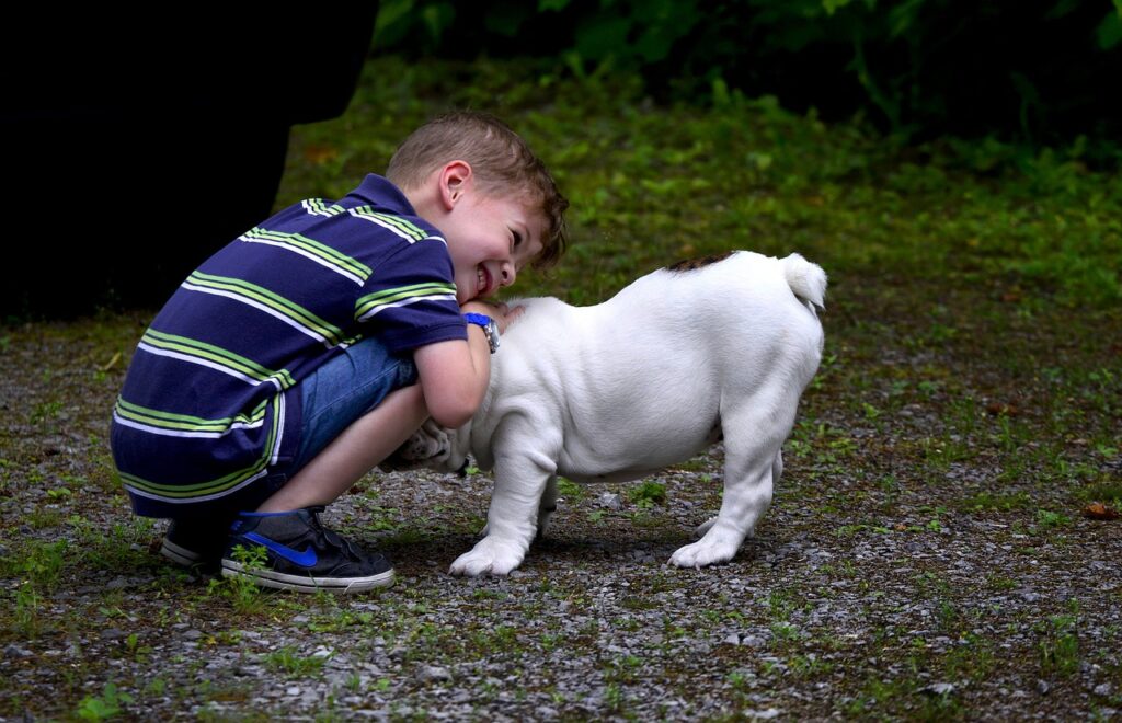 O Poder Terapêutico dos Animais de Estimação 1vettop% O Poder Terapêutico dos Animais de Estimação