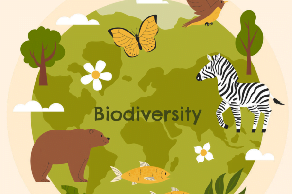 Biodiversidade Ameaçada 1vettop% Biodiversidade