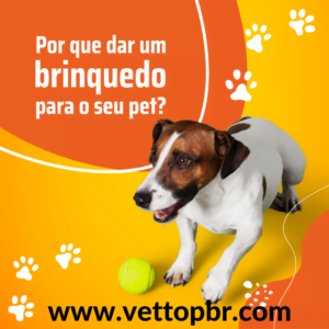 brinquedos para seu pet brinquedos para seu pet