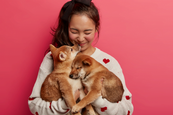O Poder Curativo das Terapias com Animais 1vettop% O Poder Curativo das Terapias com Animais