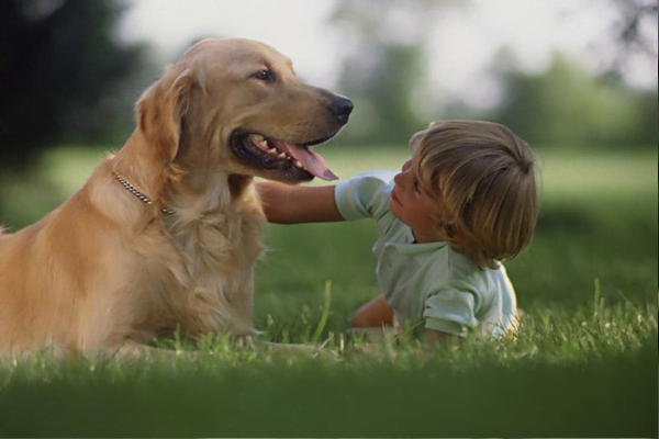 Melhor Raça de Cachorro para uma Criança Autista 21vettop% Cachorro para uma Criança Autista
