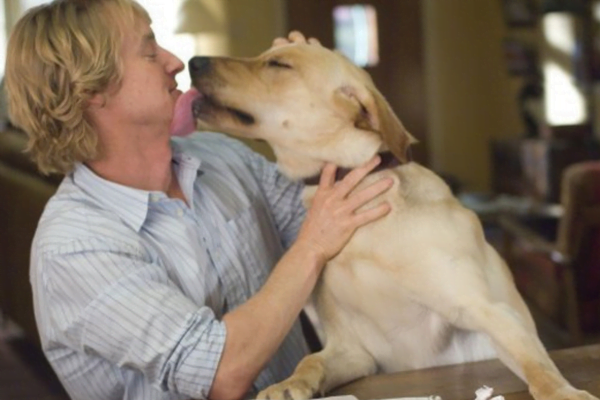 Marley: Marley: