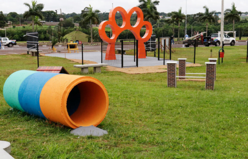 8 Regras de Ouro a Seguir em Parques para Cães 1vettop% Parque