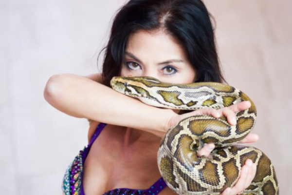 Tipos de Cobras que Podemos Ter como Pet no Brasil 2vettop% cobras2