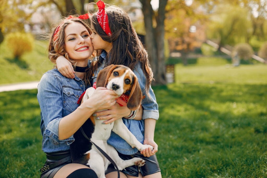 Animais de Estimação São Vida em Sua Casa 3vettop% Animais de Estimação