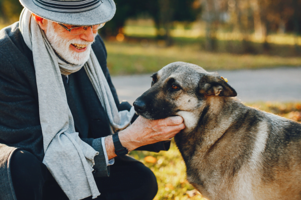 Glucosamina para cães 1vettop% Glucosamina para cães1