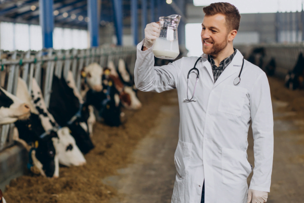 Vida de Veterinário Desvendando as Alegrias e Desafios 3vettop% Vida de Veterinário4