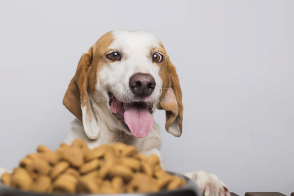 Vitamina D para Cachorros 2vettop% Vitamina D para Cachorros2