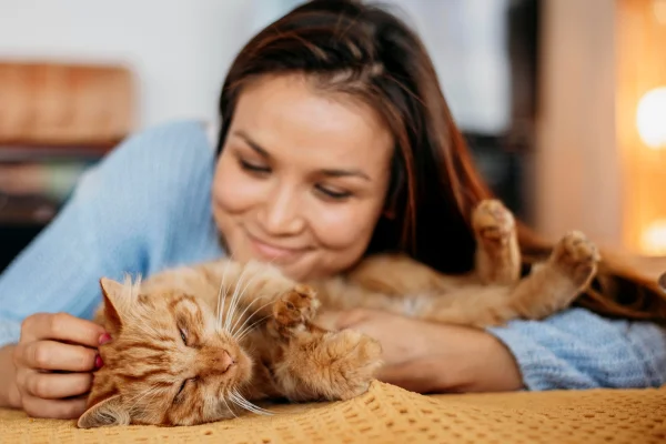 11 Gatos hipoalergênicos para pessoas com alergias 1vettop% 11-Gatos-hipoalergenicos-para-pessoas-com-alergias-1.png