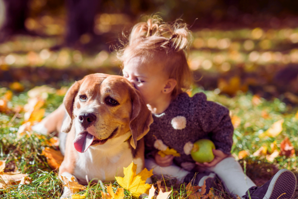 As 10 Melhores Raças de Cachorros para Crianças 1vettop% Melhores Raças de Cachorros para Crianças