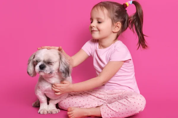 10 dicas para escolher um cachorro para seus filhos 1vettop% 10 dicas para escolher um cachorro para seus filhos