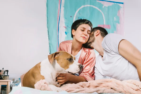 Não Posso Cuidar do Meu Cachorro, Onde Deixá-lo para Adoção? 1vettop% Não Posso Cuidar do Meu Cachorro1 (1)