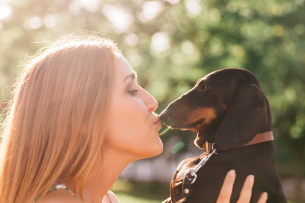 Doenças Transmitidas por Saliva de Cachorro 13vettop% Doenças Transmitidas por Saliva de Cachorro