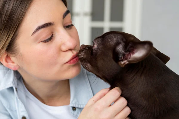 Doenças Transmitidas por Saliva de Cachorro 1vettop% Doenças Transmitidas por Saliva de Cachorro1