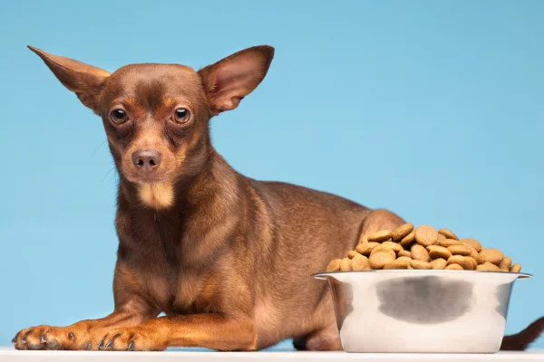 Os Efeitos dos Corantes em Rações para Cães e Gatos 12vettop% Corantes em Rações para Cães e Gatos (2)