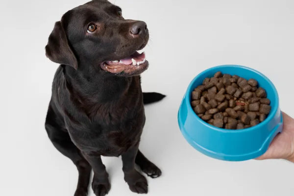 Os Efeitos dos Corantes em Rações para Cães e Gatos 1vettop% Corantes em Rações para Cães e Gatos (2)