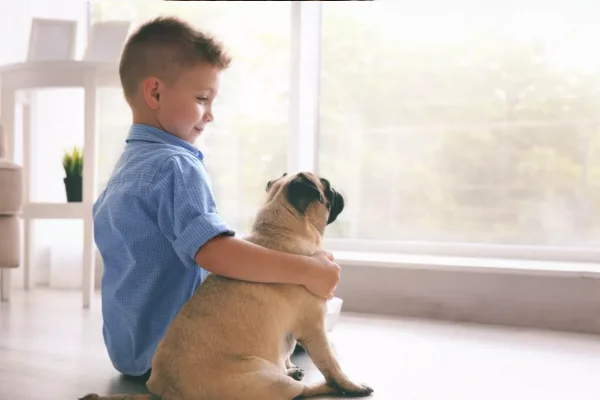 Animais de Apoio Emocional 2vettop% Animais de Apoio Emocional
