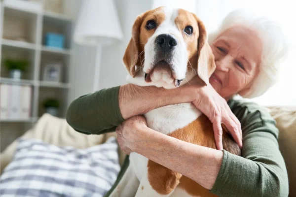 Animais de Apoio Emocional 1vettop% Animais de Apoio Emocional