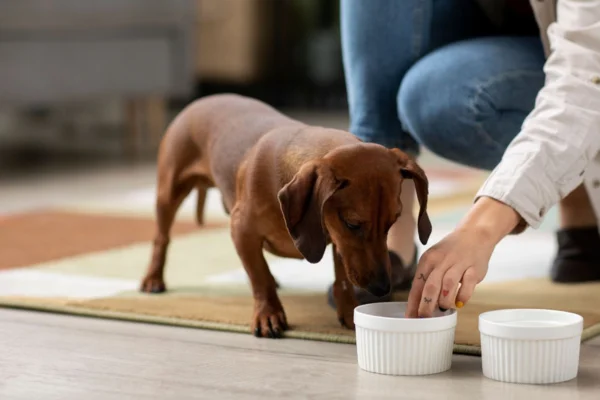 Glicopan Pet: O Suplemento Nutricional 2vettop% Glicopan Pet