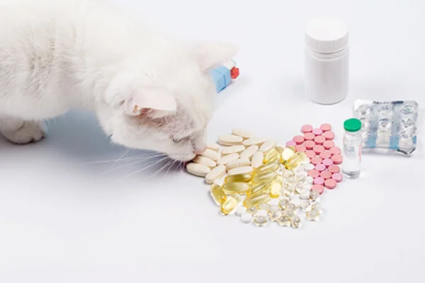 Medicamentos Tóxicos para Gatos 2vettop% Medicamentos Tóxicos para GatoS