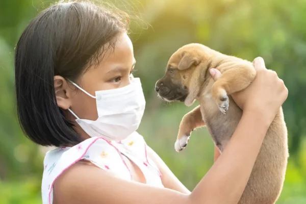 Cachorro pega gripe de humano? 2vettop% Cachorro pega gripe de humano?