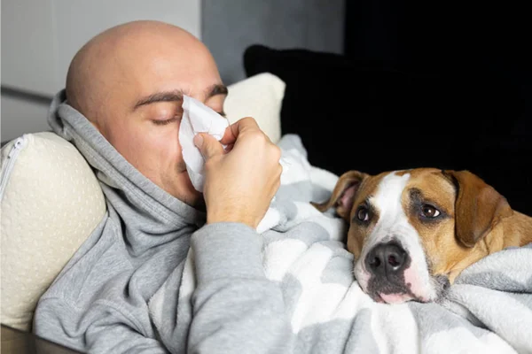 Cachorro pega gripe de humano?