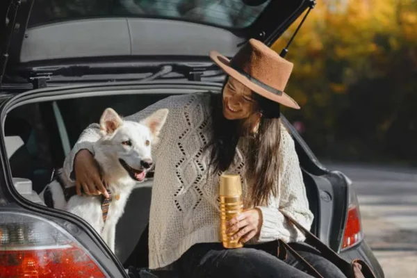 Como viajar com cachorro? 1vettop% Como viajar com cachorro?