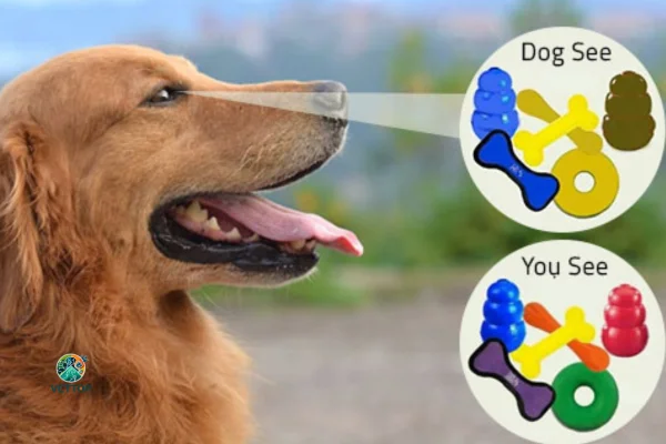 Cores que os Cães Enxergam