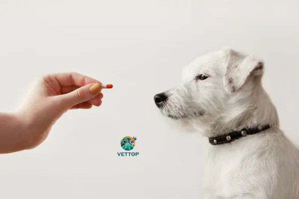Imosec para Cachorro