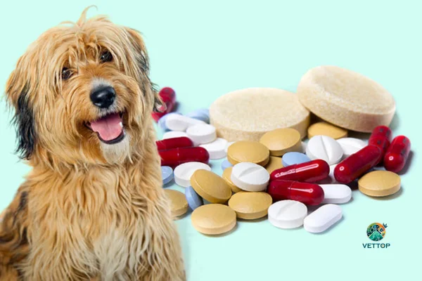 Vitamina Humana para Cachorro 2vettop% Vitamina Humana para Cachorro