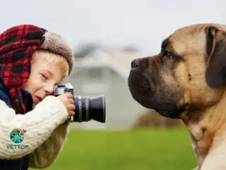 Como Fotografar Animais de Estimação
