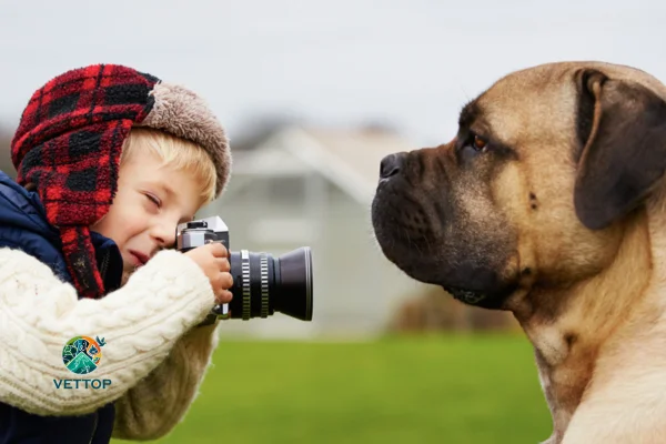 Como Fotografar Animais de Estimação