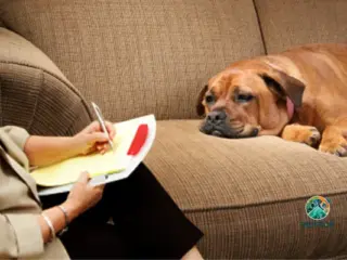 Psicologia Canina