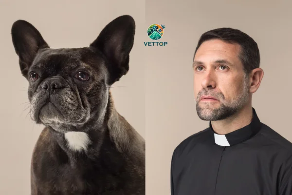 Cachorros se Parecem com os Donos 2vettop% Cachorros se Parecem com os Donos