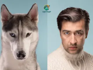Cachorros se Parecem com os Donos