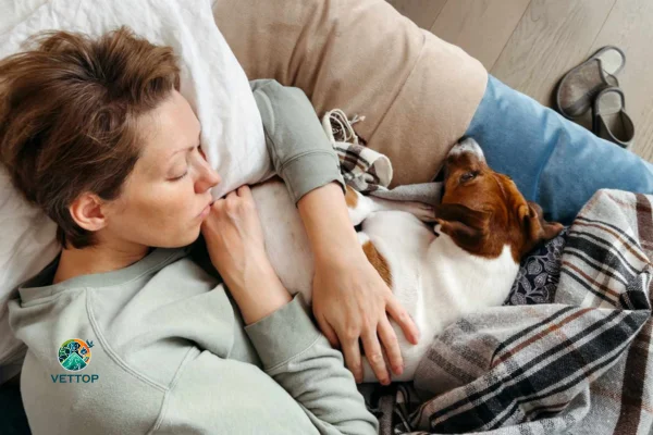Carrapato de Cachorro Pega em Humano