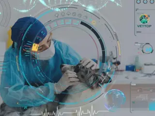 Inteligência Artificial na Medicina Veterinária