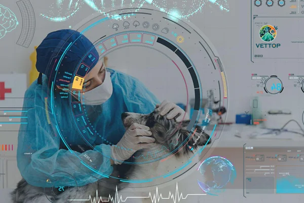 Inteligência Artificial na Medicina Veterinária