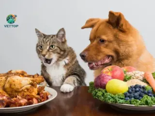 Nutrição Personalizada para Pets