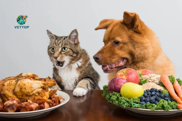 Nutrição Personalizada para Pets