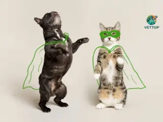 Sustentabilidade Pet