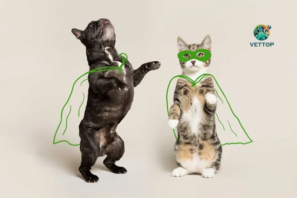 Sustentabilidade Pet