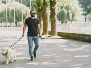 O que Fazer Quando Meu Cachorro Puxa a Guia?