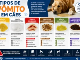 Cachorro vomitando